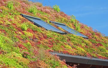 Clevans living roof systems