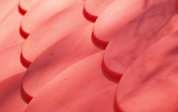 Clevans plastic roof costs