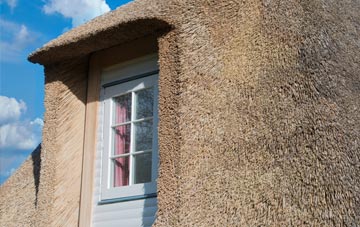Clevans thatch roof disadvantages